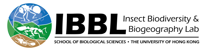 lab logo-06